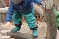 JUnge Balance